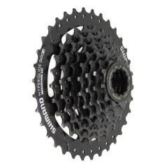 Piñon SHIMANO HG 8V CS-HG31 11-34 Negro