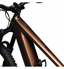 Protector Cuadro Pro Full E-Bike Transparente Brillante Dyedbro