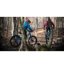 Remolcador Bicicletas Trax PRO