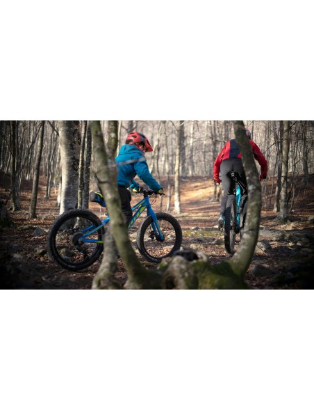 Remolcador Bicicletas Trax PRO