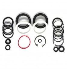 Kit Retenes RockShox Domain Gen C (2025+) 200hrs