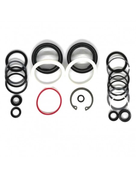 Kit Retenes RockShox Domain Gen C (2025+) 200hrs