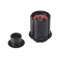 Núcleo DT SWISS Shimano 3 Trinquetes