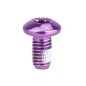 Perno Freno Disco Acero INOX M5x9mm Morado (1 Uni) Perno Freno Disco Acero INOX M5x9mm Morado (1 Uni)