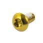 Perno Freno Disco Acero INOX M5x9mm Dorado (1 Uni) Perno Freno Disco Acero INOX M5x9mm Dorado (1 Uni)