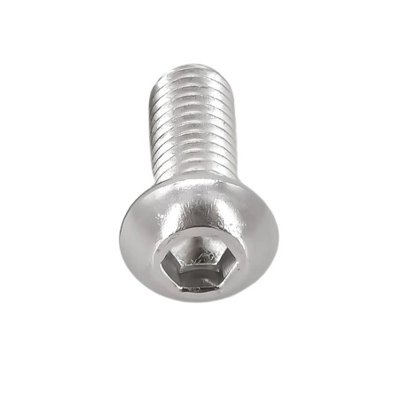 Perno Freno Disco Acero INOX M5x10mm Plateado (1 Uni)