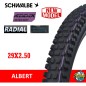 Neumático Schwalbe ALBERT Gravity Pro Radial ADDIX Ultra Soft 29x2.50 Neumático Schwalbe ALBERT Gravity Pro Radial ADDIX Ultra Soft 29x2.50