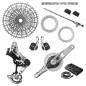 Grupo Transmisión Eagle GS 1987 AXS DUB WIDE 55mm Q174 DM 32-34T T-Type 126L 10-52T Grupo Transmisión Eagle GS 1987 AXS DUB WIDE 55mm Q174 DM 32-34T T-Type 126L 10-52T