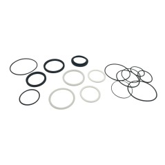 Kit de Sellos FOX Float Genie 2024 [Damper + Resorte]