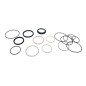 Kit de Sellos FOX Float Genie 2024 [Damper + Resorte]