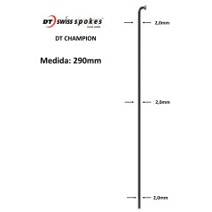 Rayos DT SWISS CHAMPION 290mm J-Bend Negro