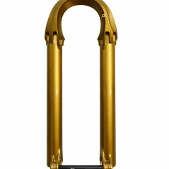 Botellas FOX 38 2025 29in 180 MAX, 15x110 Kabolt-X, Fox Podium Gold