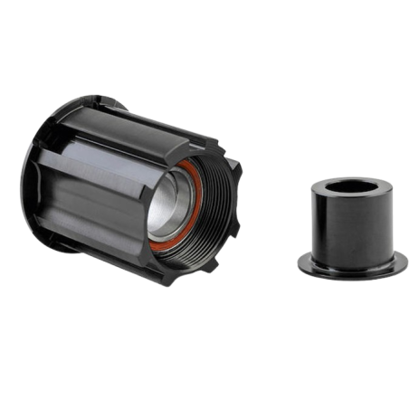 Núcleo DT SWISS RATCHET NEW CAMPAGNOLO 12-13V