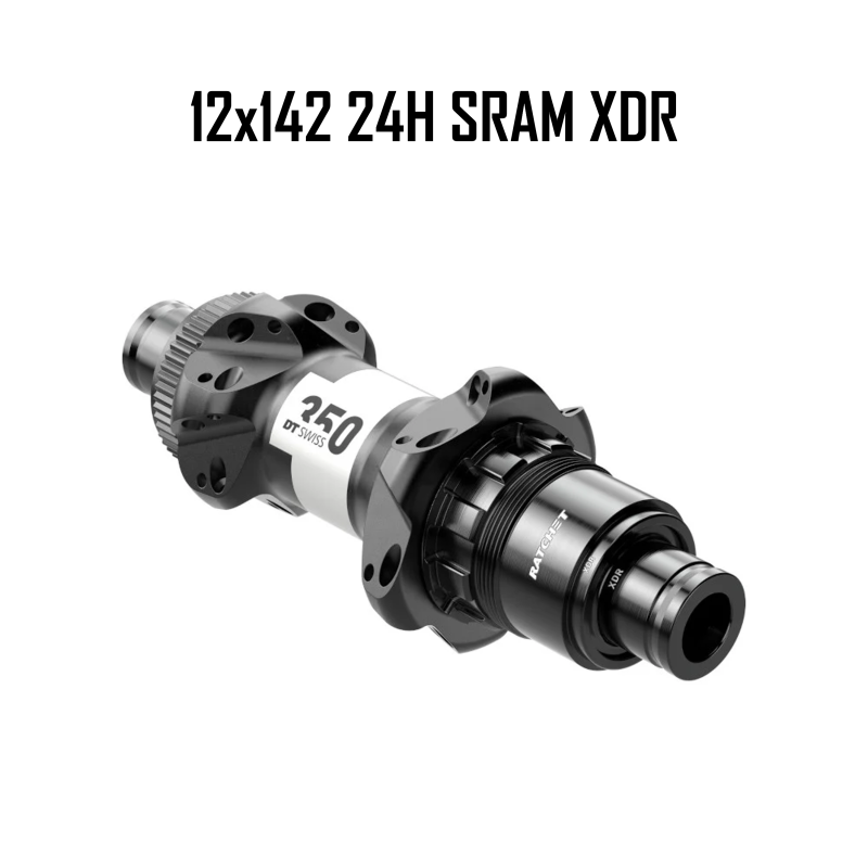 Maza Trasera DT SWISS 350 CL 12x142 24H SRAM XDR Maza Trasera DT SWISS 350 CL 12x142 24H SRAM XDR