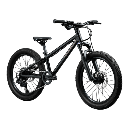 Bicicleta NORCO CHARGER 20 Negra (PREVENTA)