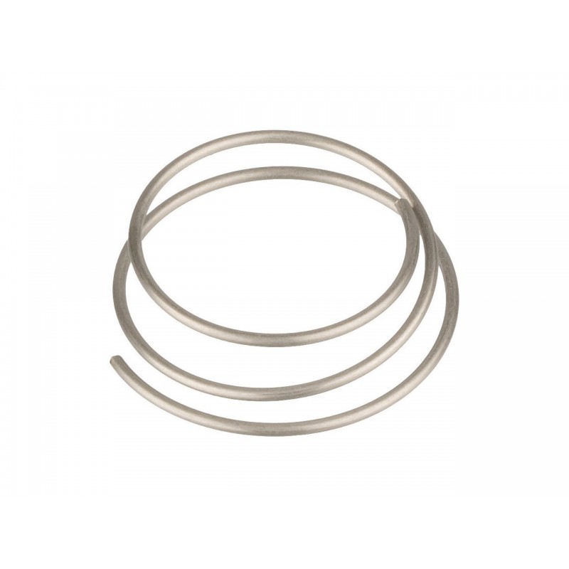 Resorte DT SWISS para Ratchet (1 Uni) Resorte DT SWISS para Ratchet (1 Uni)