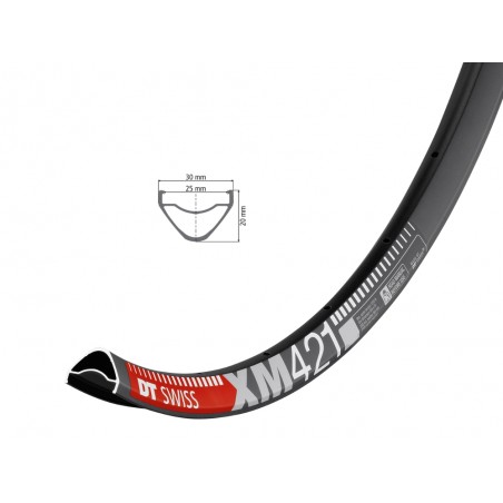 LLanta DT SWISS 29 XM 421 32H