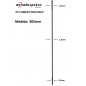 Rayos DT SWISS COMPETITION RACE 305mm Recto