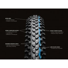 Neumático Schwalbe RACING RAY TwinSkin ADDIX/TLR/P 29x2.25
