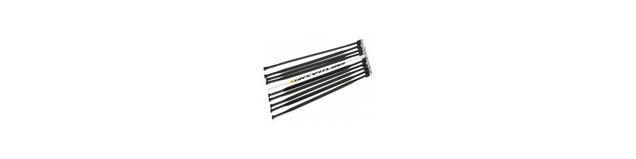 Rayos y Radios para Ruedas de Bicicleta | RudolfBike