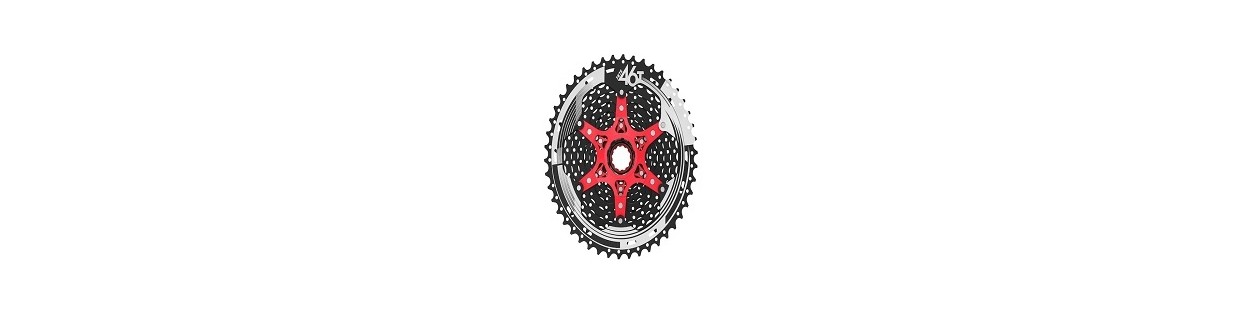 Cassettes y Piñones para Bicicleta | RudolfBike