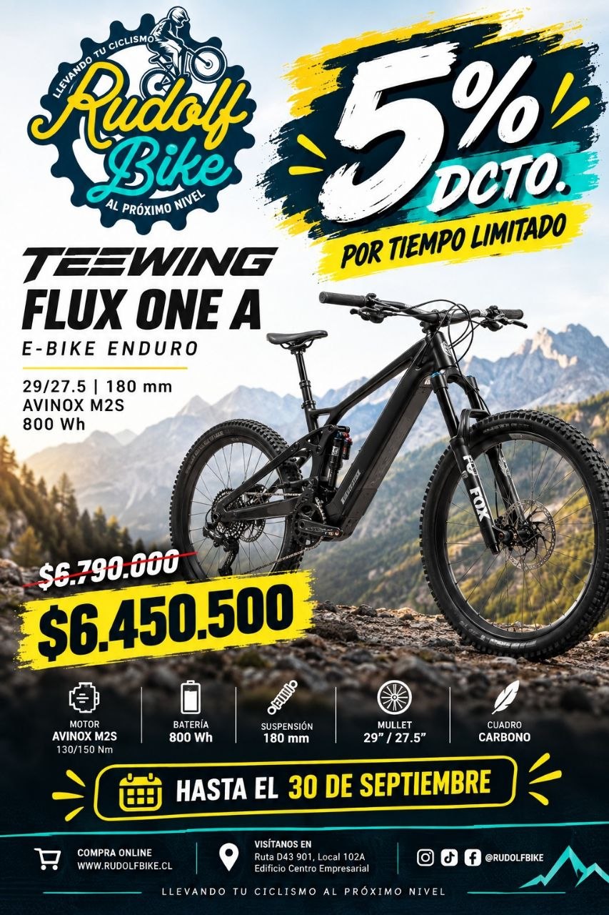 Demo: E-bike Teewing Flux One A 
